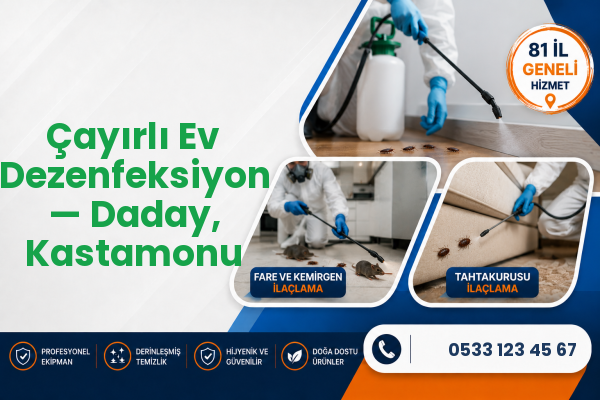 Çayırlı Ev Dezenfeksiyon — Daday, Kastamonu