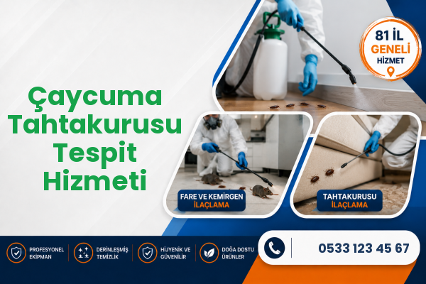 Çaycuma Tahtakurusu Tespit Hizmeti