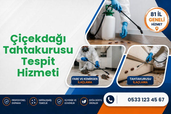Çiçekdağı Tahtakurusu Tespit Hizmeti