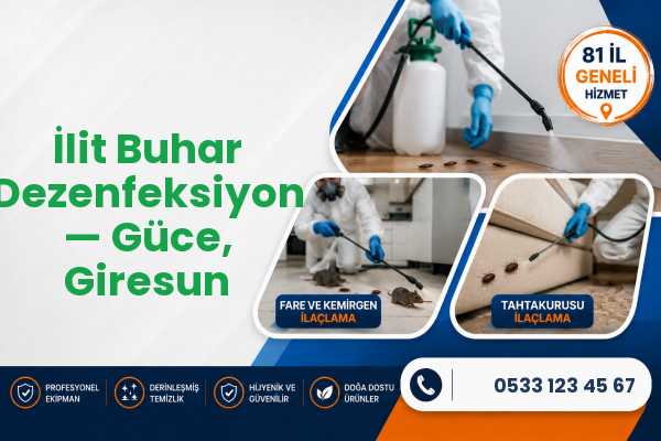 İlit Buhar Dezenfeksiyon — Güce, Giresun