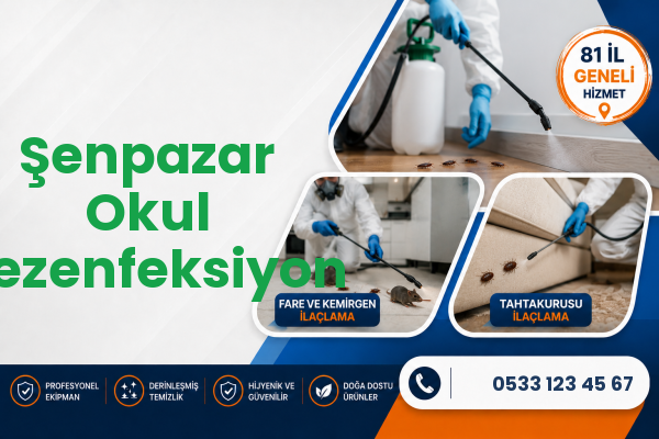 Şenpazar Okul Dezenfeksiyon