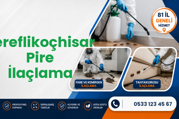Şereflikoçhisar Pire İlaçlama