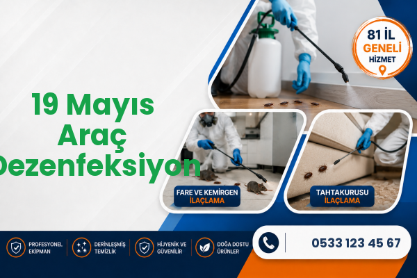19 Mayıs Araç Dezenfeksiyon