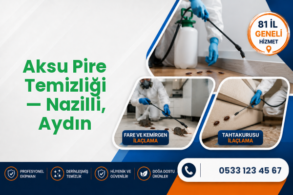 Aksu Pire Temizliği — Nazilli, Aydın