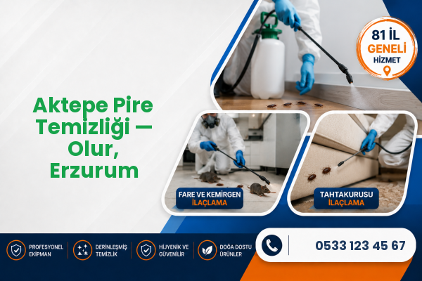 Aktepe Pire Temizliği — Olur, Erzurum