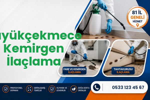 Büyükçekmece Kemirgen İlaçlama