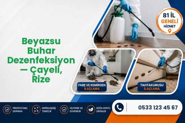 Beyazsu Buhar Dezenfeksiyon — Çayeli, Rize