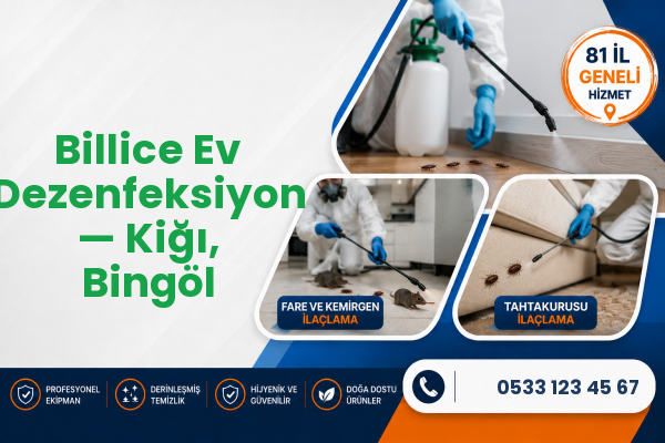 Billice Ev Dezenfeksiyon — Kiğı, Bingöl