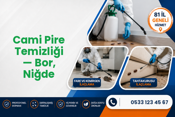 Cami Pire Temizliği — Bor, Niğde