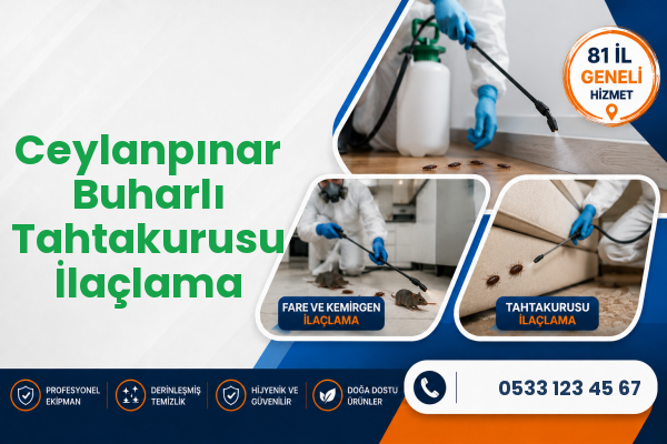 Ceylanpınar Buharlı Tahtakurusu İlaçlama