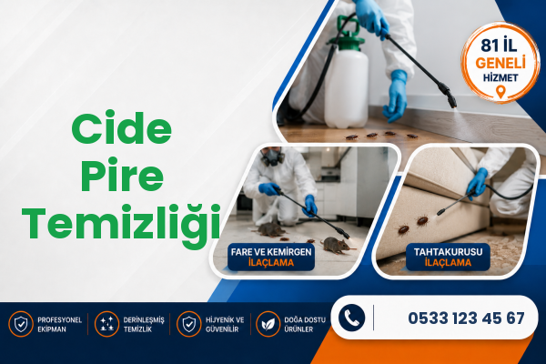 Cide Pire Temizliği
