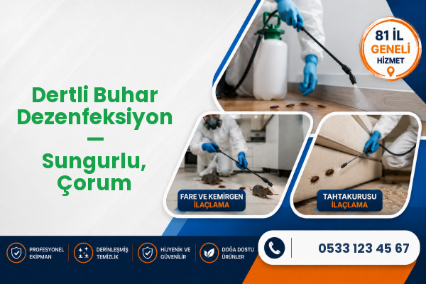 Dertli Buhar Dezenfeksiyon — Sungurlu, Çorum