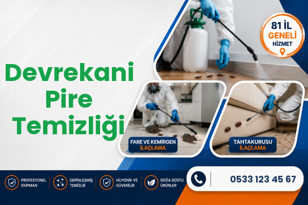 Devrekani Pire Temizliği
