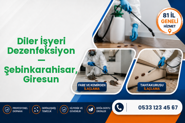 Diler İşyeri Dezenfeksiyon — Şebinkarahisar, Giresun