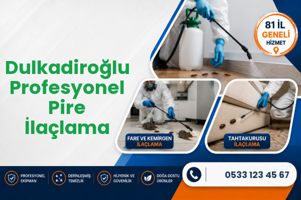 Dulkadiroğlu Profesyonel Pire İlaçlama