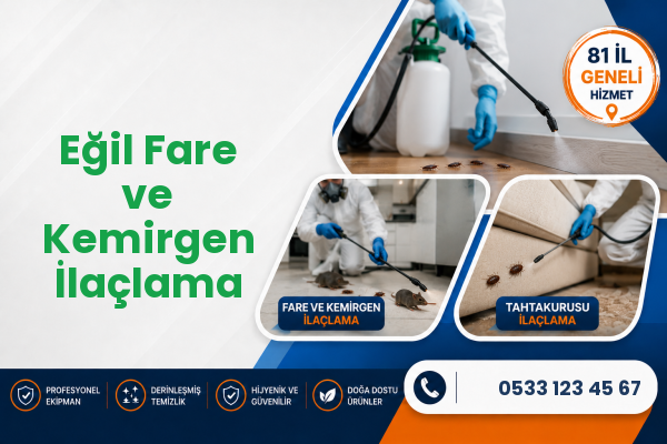 Eğil Fare ve Kemirgen İlaçlama