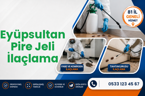 Eyüpsultan Pire Jeli İlaçlama