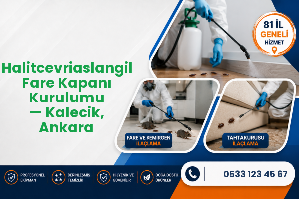 Halitcevriaslangil Fare Kapanı Kurulumu — Kalecik, Ankara