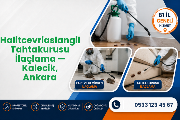 Halitcevriaslangil Tahtakurusu İlaçlama — Kalecik, Ankara