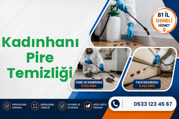 Kadınhanı Pire Temizliği