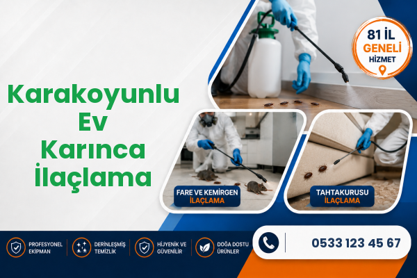 Karakoyunlu Ev Karınca İlaçlama