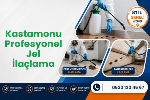 Kastamonu Profesyonel Jel İlaçlama