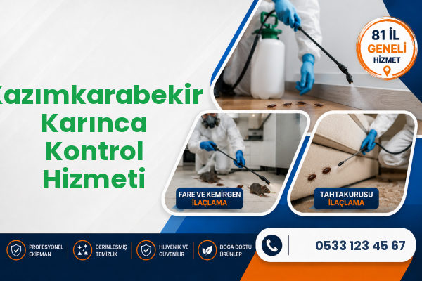 Kazımkarabekir Karınca Kontrol Hizmeti