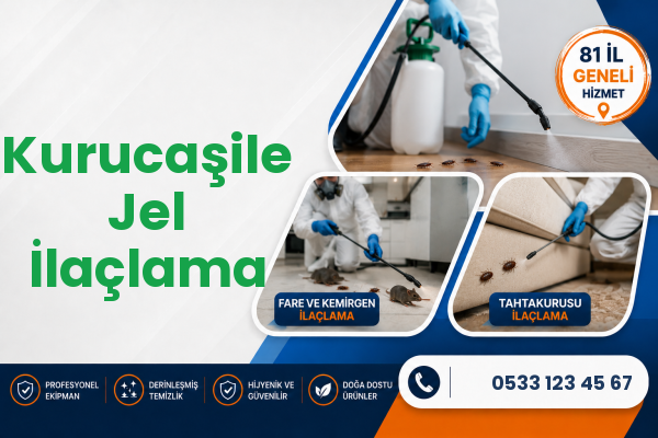 Kurucaşile Jel İlaçlama