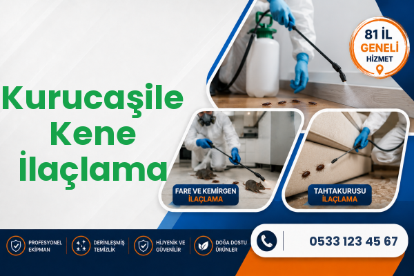 Kurucaşile Kene İlaçlama