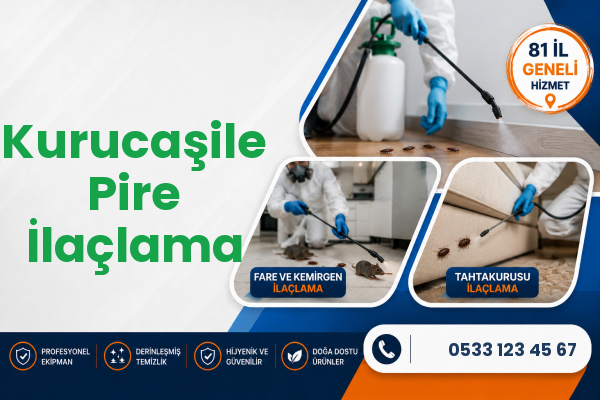 Kurucaşile Pire İlaçlama
