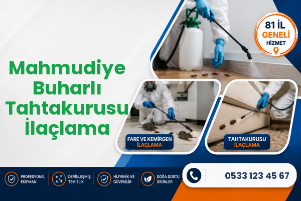 Mahmudiye Buharlı Tahtakurusu İlaçlama