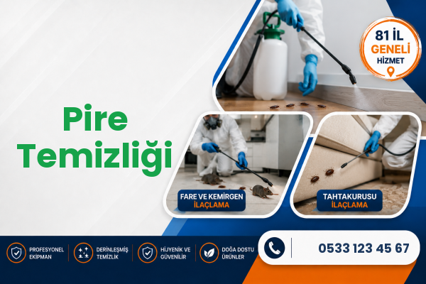 Pire Temizliği
