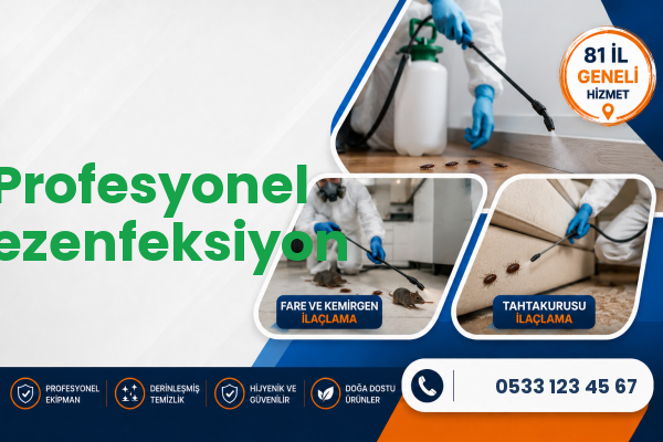 Profesyonel Dezenfeksiyon