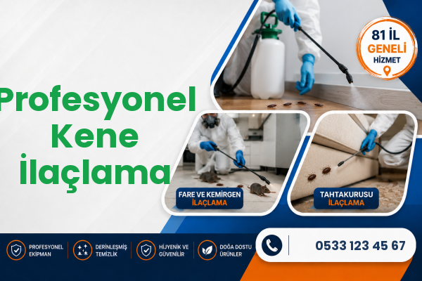 Profesyonel Kene İlaçlama