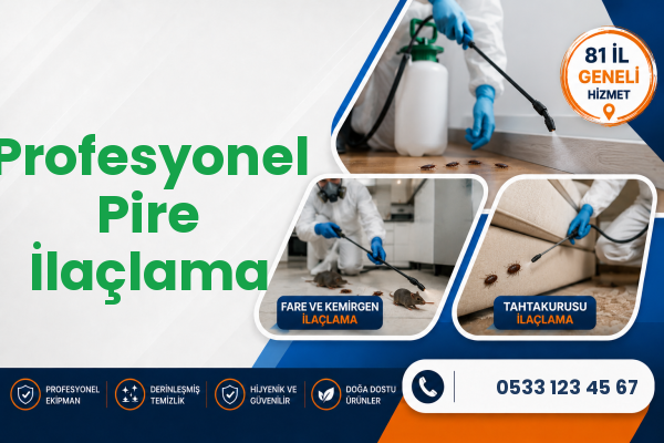 Profesyonel Pire İlaçlama