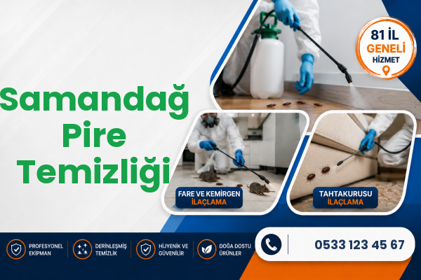 Samandağ Pire Temizliği