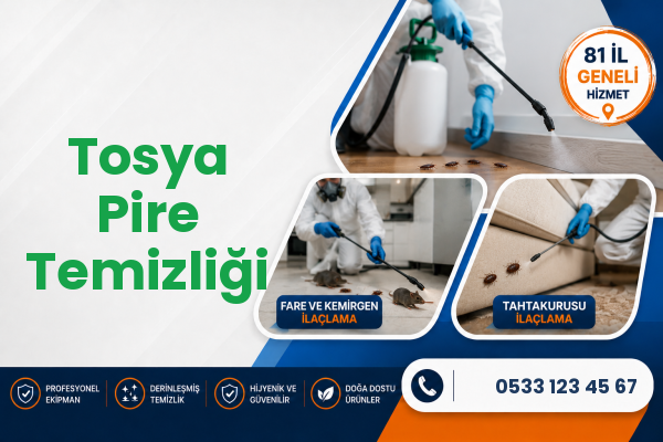 Tosya Pire Temizliği